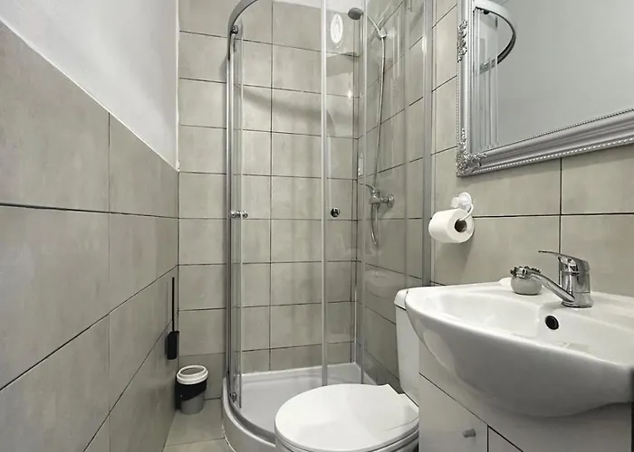 Apartman Silver Brassó